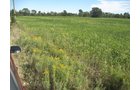 Property photo 11 - 110+/- Acres offered in 4 Tillable Tracts